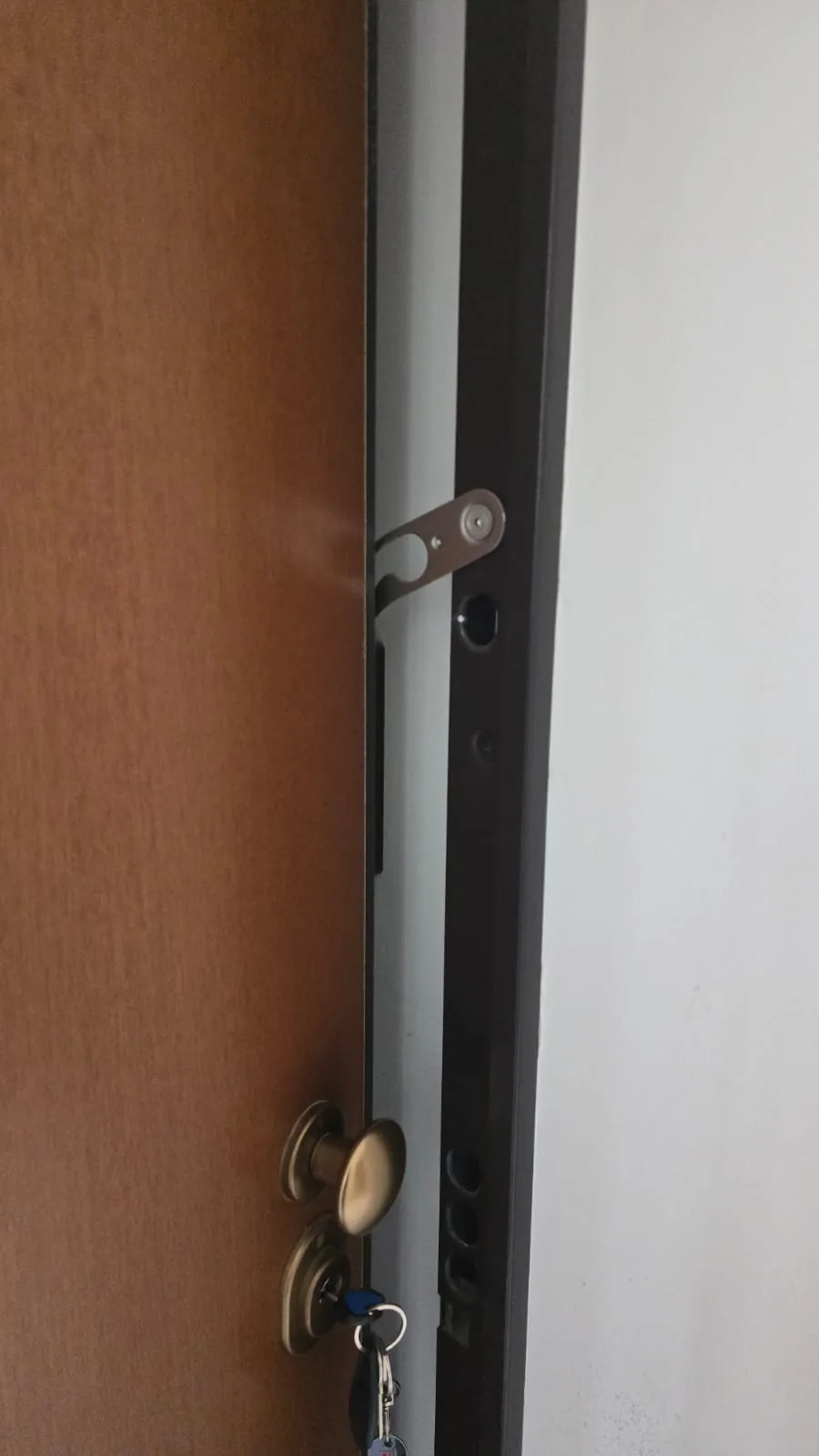 Ușă metalică cu sistem de închidere multipunct în Timișoara